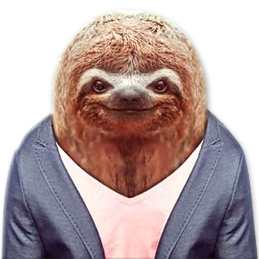 otter, sloth, зоопортреты timur anton, зоопортреты yago partal