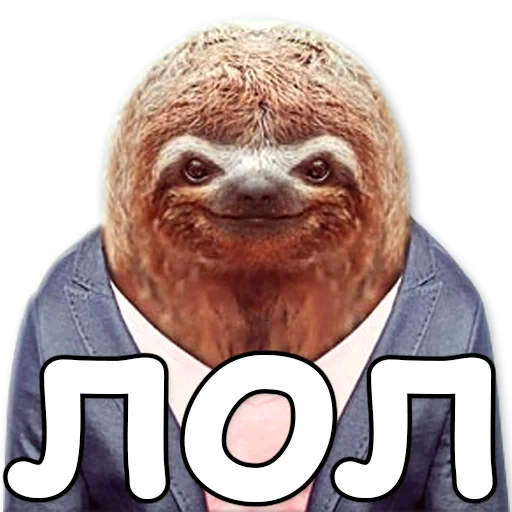 sloth