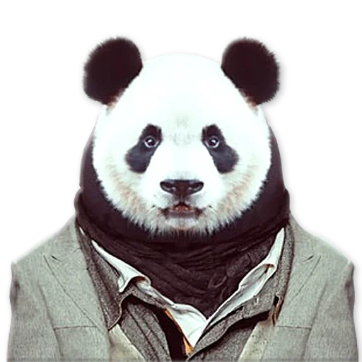 the panda, der panda panda, mr panda, king arthur, ernsthafter panda