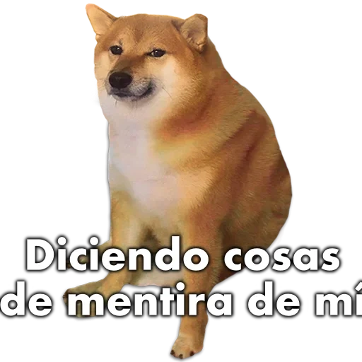 shiba dog, dog meme, shiba inu meme, inflatable dog meme