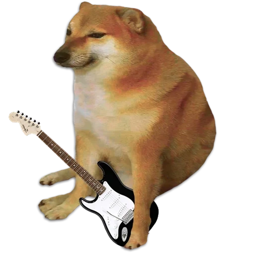 shiba inu, shiba è un meme, meme di shiba inu, il cane di siba inu, un meme di un cane di siba