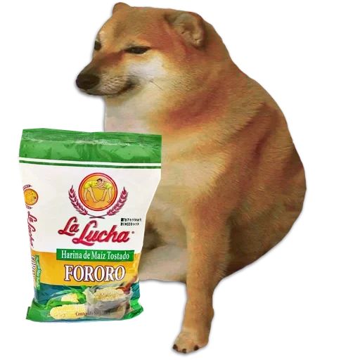 shiba inu, siba inu, doge dog, shiba è un meme, un meme di un cane di siba