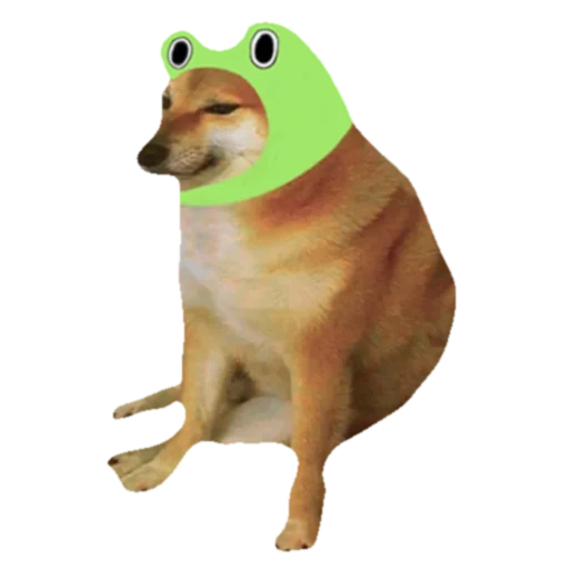 shiba inu, shiba è un meme, cane cheems, un meme di un cane di siba