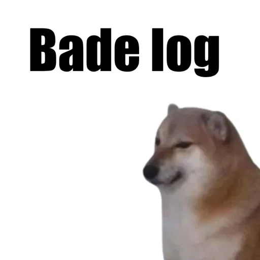 doge, doge meme, cane meme, dorime doge, cane di chelms