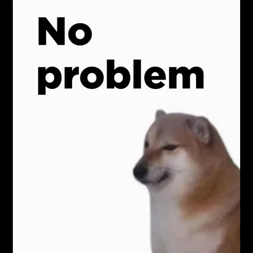 memes, doge, dog, dog mem, cheems dog