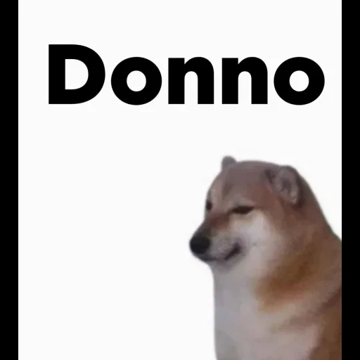 dog, doge, собака, dorime doge, собаки милые