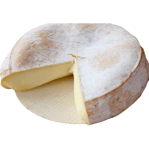 käse, käse ribson, cosius käse ist hart, reboshon de savois, käse mit weißer form