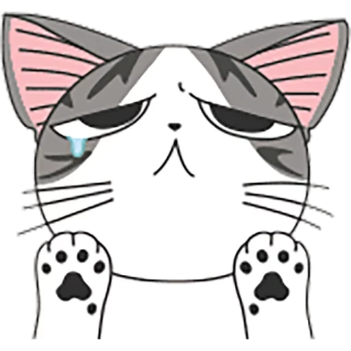 gato chiy, chii kitten, gatos de anime, anime kotik chi, desenho de gato triste