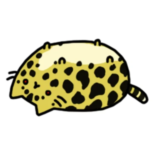 chat, guépard, hello kitty leopard