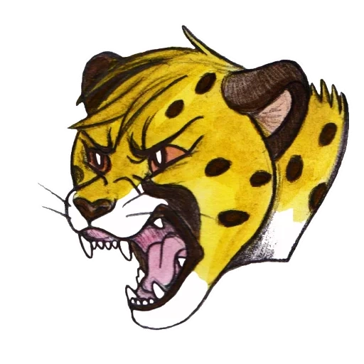 tiger, boy, cheetah icon, cheetah head vector, the stylized head of the cheetah