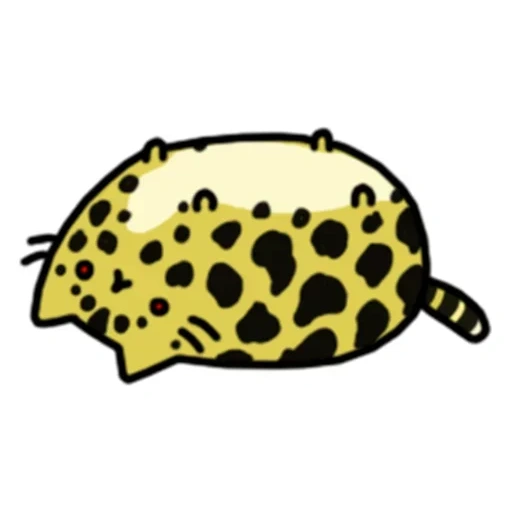 cheetar, patrón de leopardo hello kitty