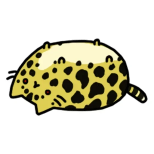 cheetar, hello kitty leopard