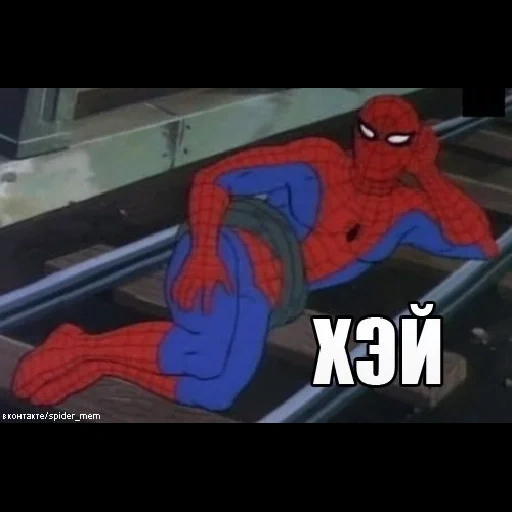 spiderman, memetische spinne, spider-man meme, die echte spinne, spider-man spider-man meme