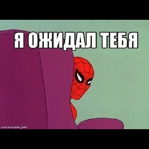 meme, manusia laba-laba, meme adalah laba laba, laba laba membelai meme, saya memaafkan anda seorang orang laba laba meme