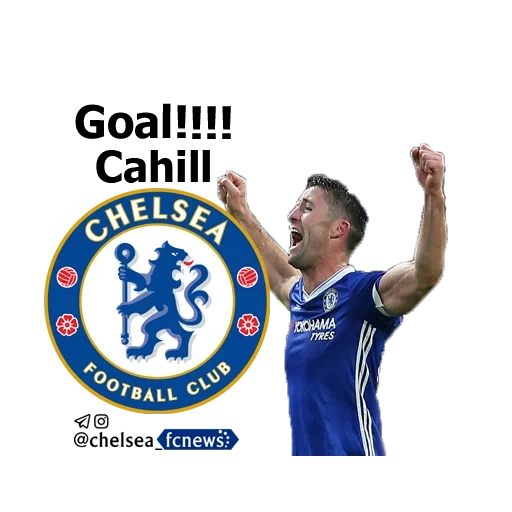 de chelsea, emblème chelsea, manchester city, chelsea manchester city, emblème de newcasl chelsea