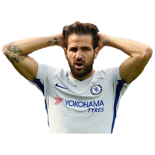 der männliche, fussballspieler, antonio conte, cesk fabregas monaco, antonio kassano fußballer roma