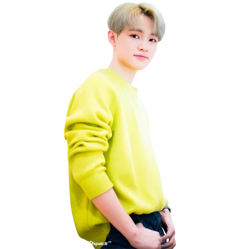 der junge mann, jimin bts, chenle nct, nct träume werden glücklich, bts dino blonde