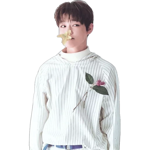 nct, tessa, chenle nct, nct lucas flowers, dezessete flores