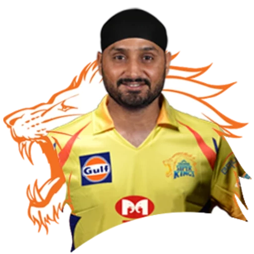 dhoni, the male, ms dhoni, vage harutyunyan, harbhajan singh