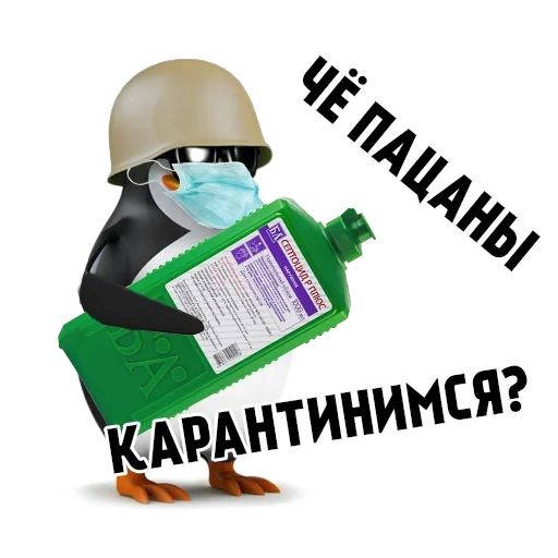 meme, dasar bajingan, meme penguin, helm penguin, meme penguin biasa