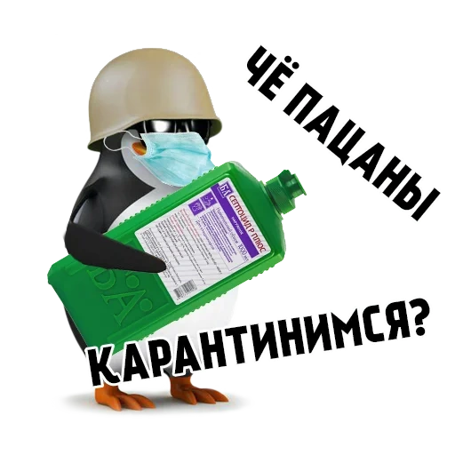 mèmes, chas boys, pingouin meme, penguin cascke, pingouin privé mem