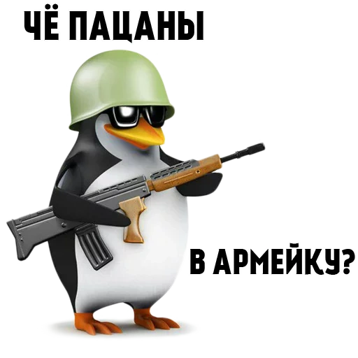 рядовой пингвин, пингвин автоматом, пингвин пистолетом, рядовой пингвин мем, пингвин автоматом мем