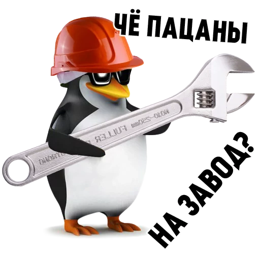 figlio di puttana, meme del pinguino, pinguino casco, pinguino comune, meme pinguino comune