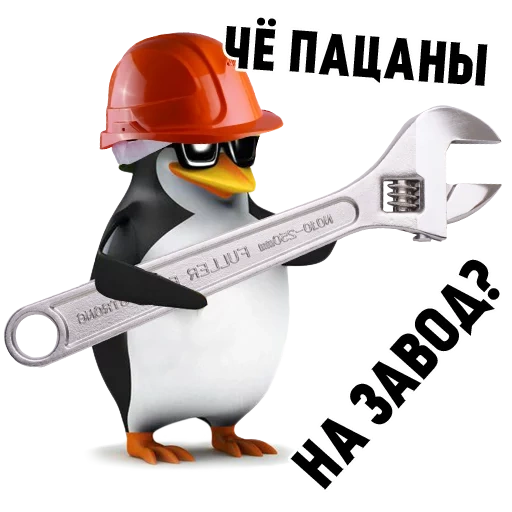 che boys, mem penguin, penguin cascke, penguin particular, penguin particular mem