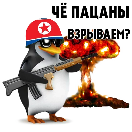 che boys, penguin particular, penguin automaticamente, pinguim com uma pistola, penguin particular mem