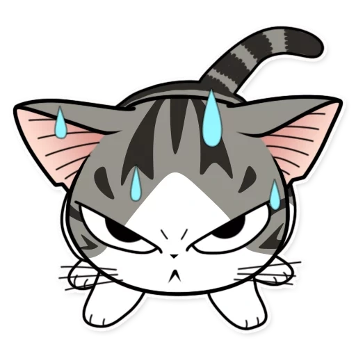 котик чии, anime cat, кошка аниме, аниме котенок злой, кот анимешный злой