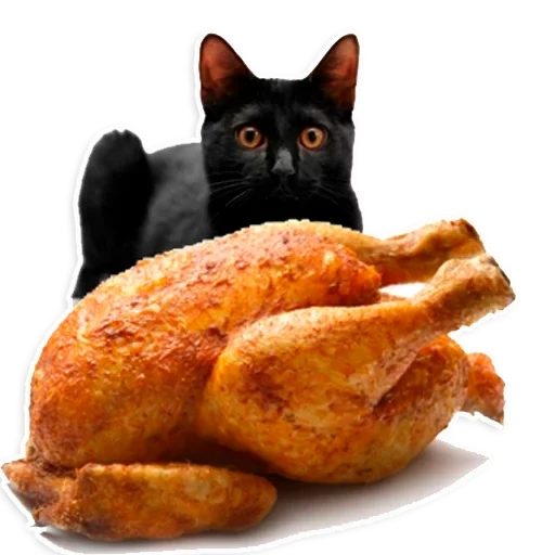 ayam panggang, ayam goreng, kucing goreng, latar belakang barbekyu ayam, triol vinil ayam panggang besar