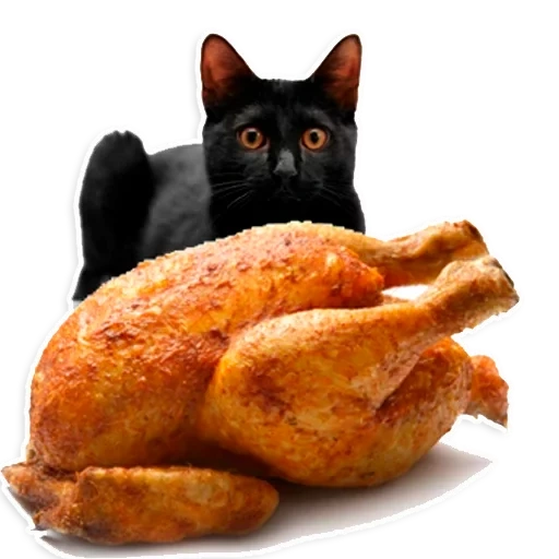 poulet grillé, poulet frit, chat frit, contexte de grill au poulet, grill de poulet triol vinyle grand