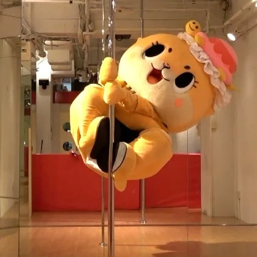 video, por que, chiitan, un giocattolo, orso giapponese