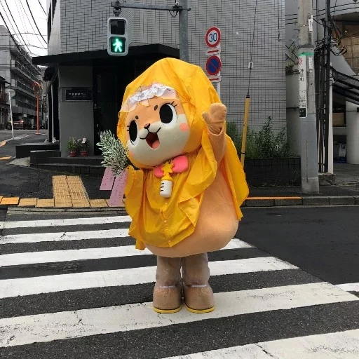 mascot, maskot, juguetes, crecimiento de la muñeca de conejo, isabel animales a través de la danza