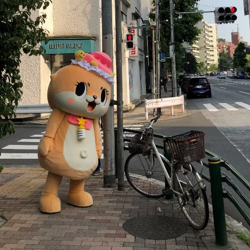 mascot, maskot, a toy, stuffed toys, japanese toys