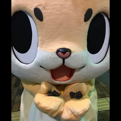 mascot, chiitan, mainan, donatello tokyo, hewan paling lucu