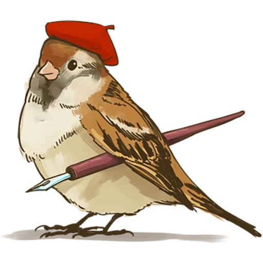 burung pipit, burung pipit, matty sparo, ayam sparrow, anime sparrow chiric