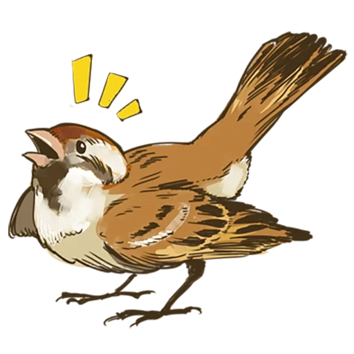 the sparrow, chirek der spatz, der sperling, maiti sparo, illustration of the sparrow