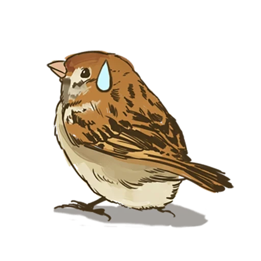 sparrow, chick chirik, vorozhushki, zenitsu sparrow