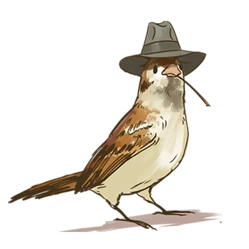 sparrow, joker trap, sparrow drawing, sparrow chick chirik, sparrow transparent background