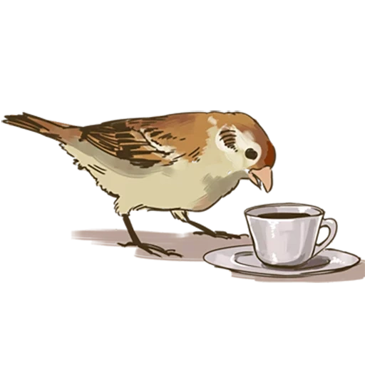sparrow, chick chirik, vorozhushki, sparrow chirik, sparrow chick chirik