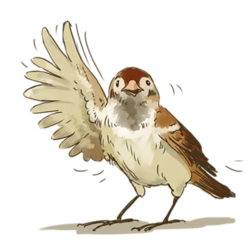 the sparrow, chick chirick, chirek der spatz