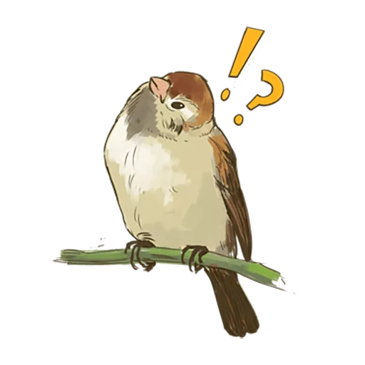 sparrow, vorozhushki, sparrow chirik