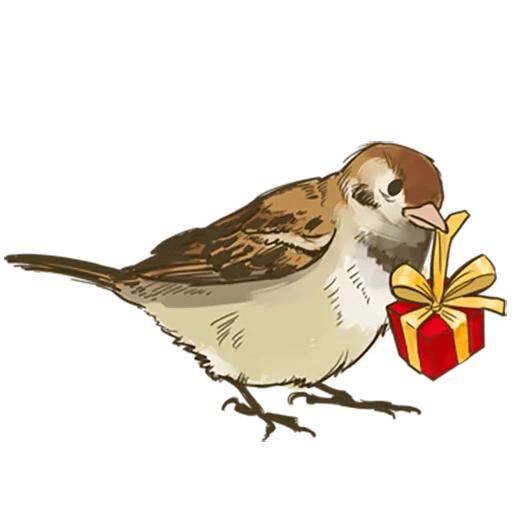 passero, sparrow chick chirik