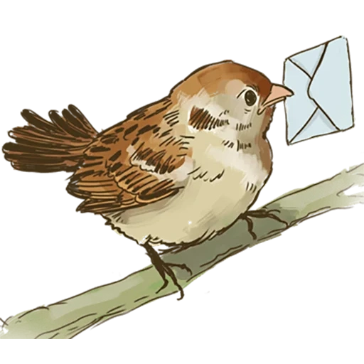 sparrow, воробей, воробушек