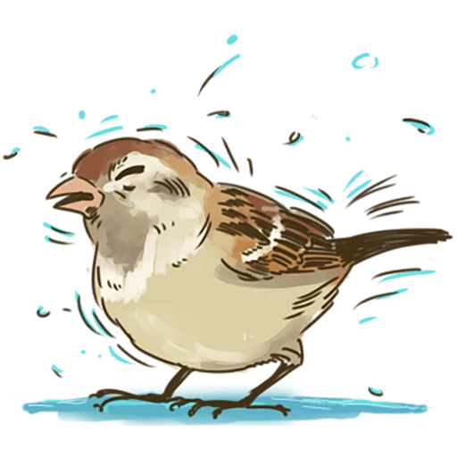 passero, vorozhushki, sparrow of children, disegno di uccelli chiriki