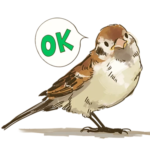 sparrow, pardal, pardal chillik, padrão de pardal
