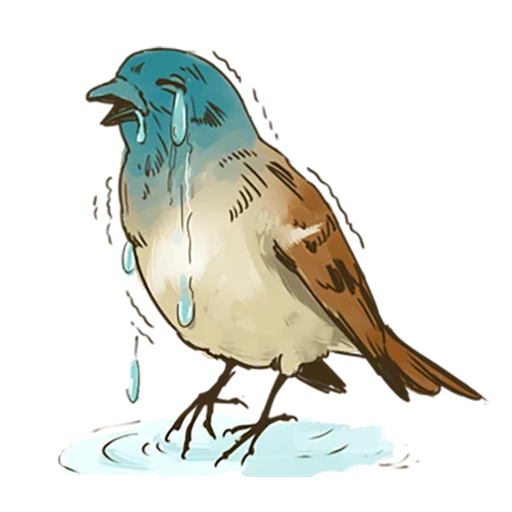 the sparrow, chirek der spatz, die bilder von chiric, aquarell mit blauen vögeln