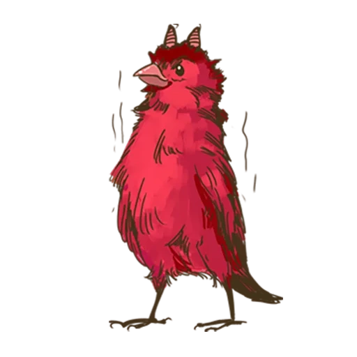 l'uccello è rosso, sparrow artist, uccello rosso, pappagallo rosso, uccello cardinale rosso