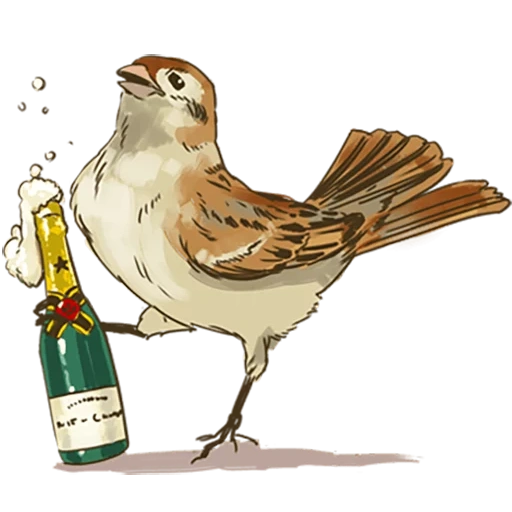 sparrow, воробей, чирик птица рисунок
